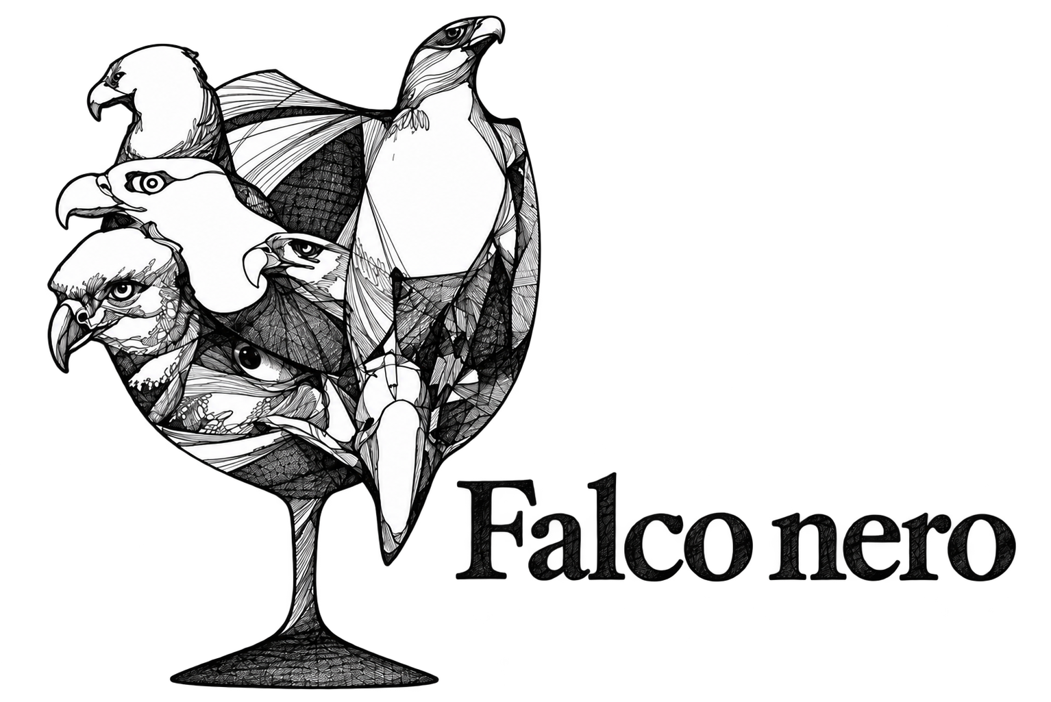 Falco nero